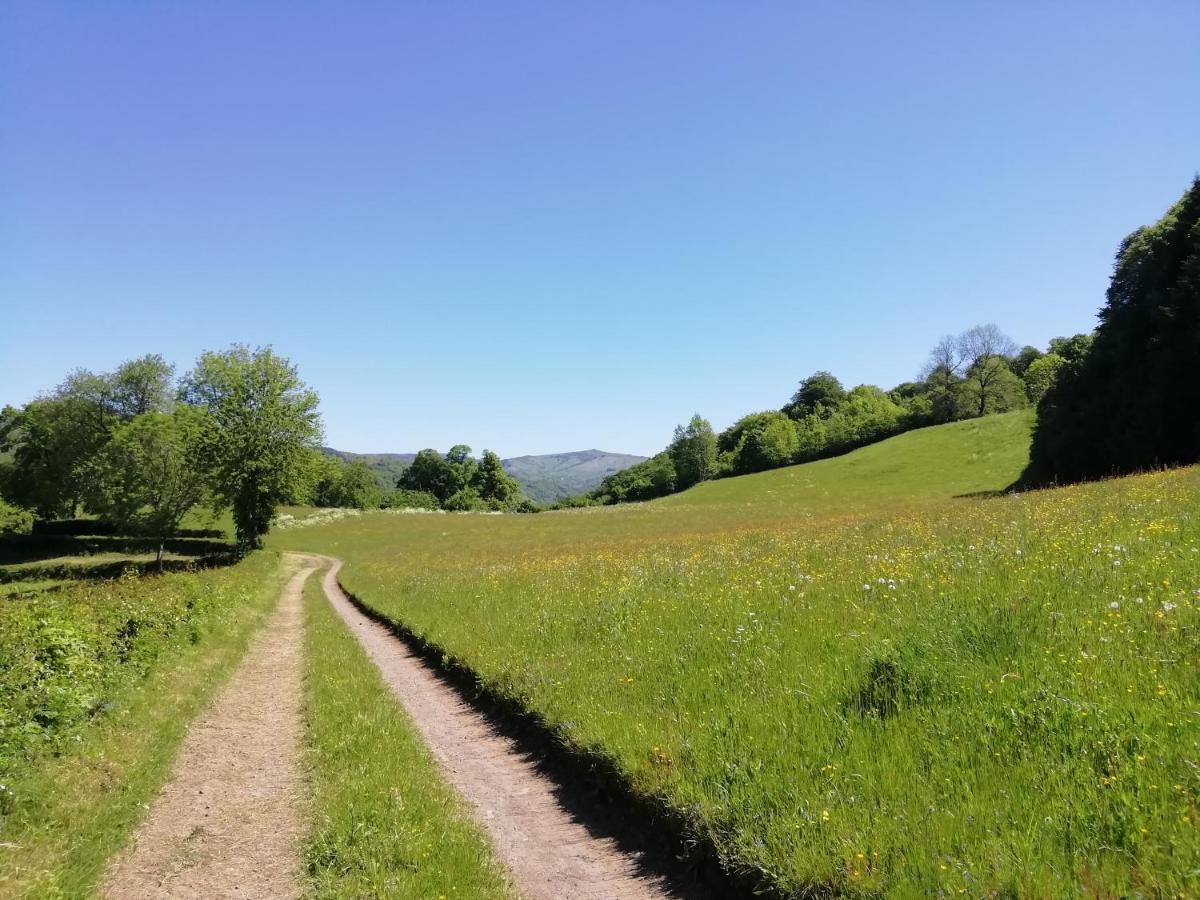 Maison A La Campagne Au Coeur Du Cantal Dept 15 Marmanhac Εξωτερικό φωτογραφία